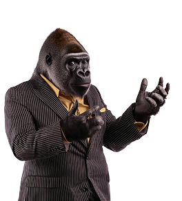 SEOコンサルタント